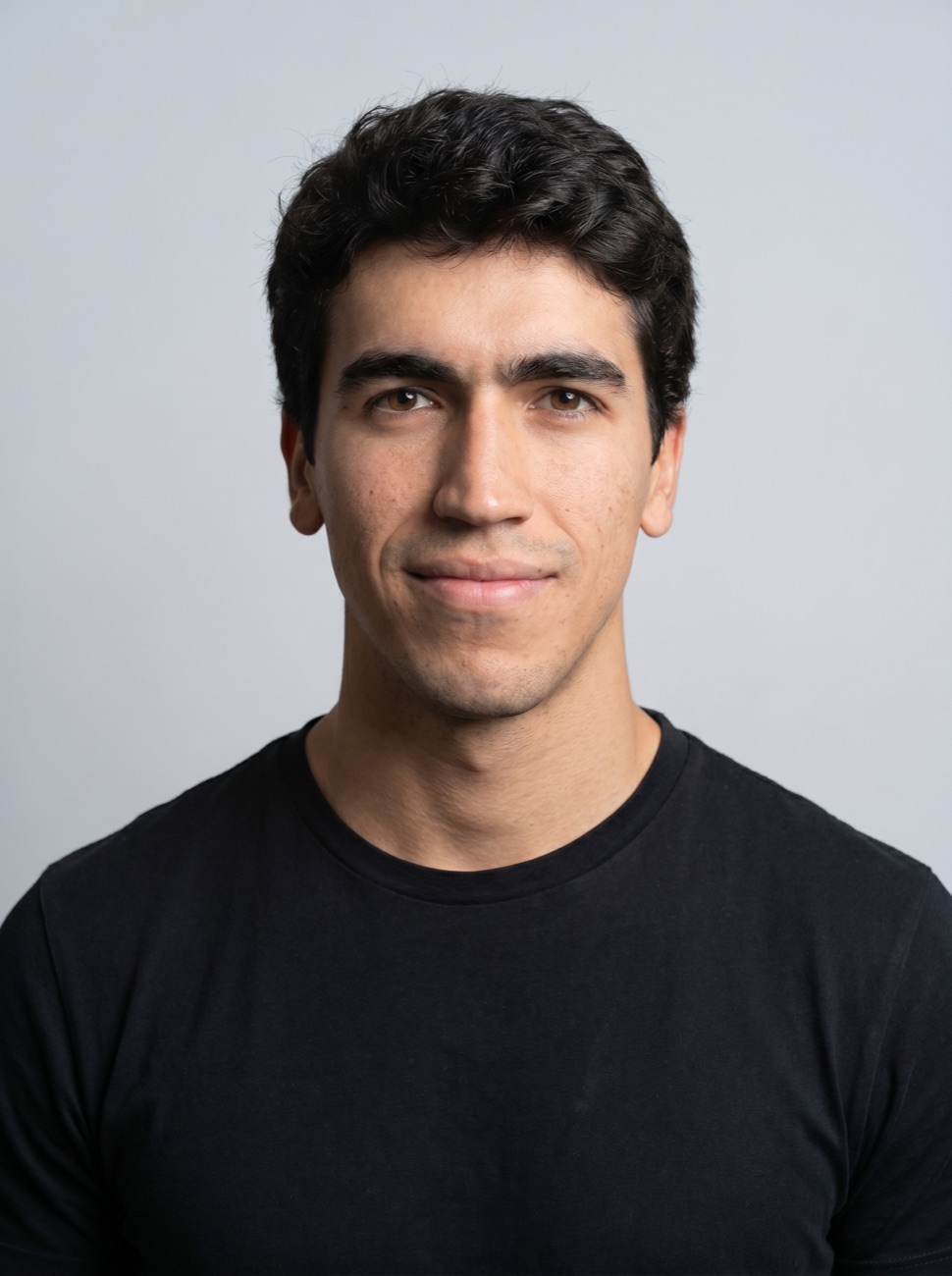 Michele Landini